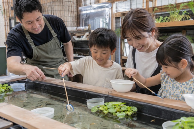 めだかを釣ろう!