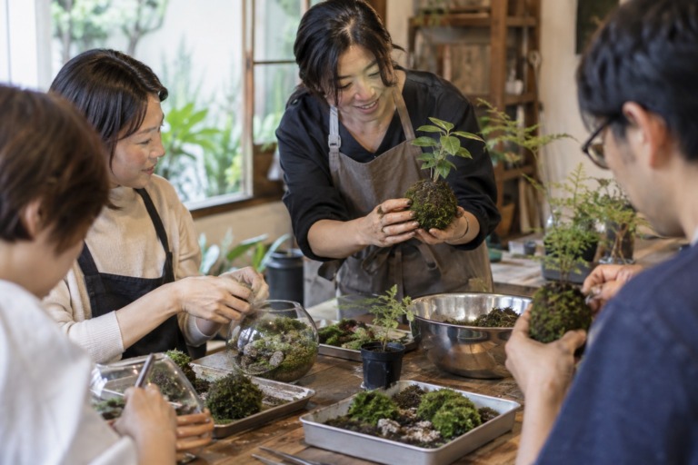苔工作体験♪
